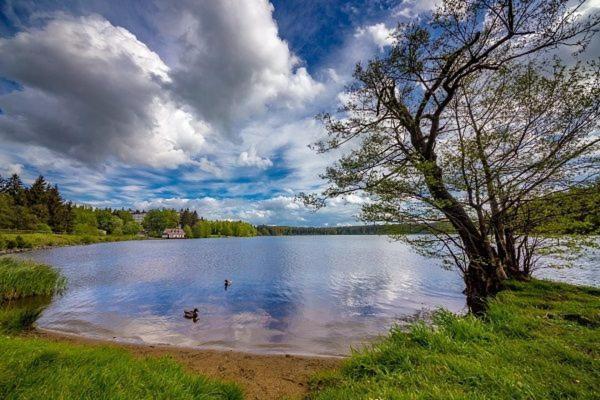 Apartman U Frysavky Fryšava Buitenkant foto